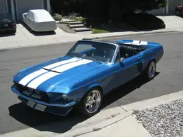 Front Top Down.webp
