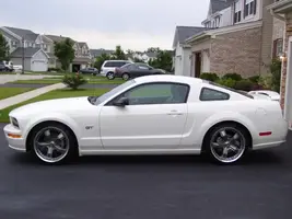 Stang 13.webp