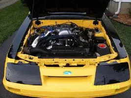 pics of nolan 211.webp