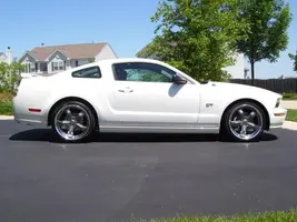 Stang 8.webp
