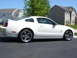 Stang 1.webp