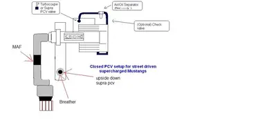 pcv-2.webp