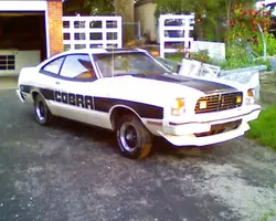 Image0000.webp