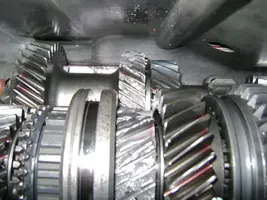 Picture 009.webp