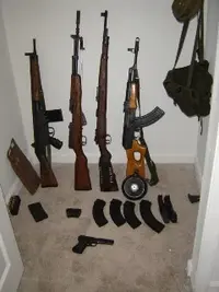 guns 021.webp