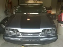 mustang1.webp