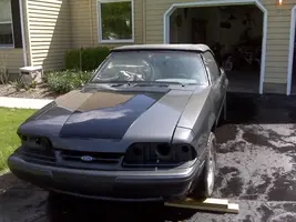 mustang2.webp