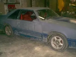 stang3.webp