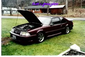 My Mustang.webp