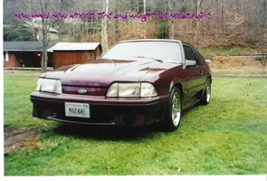 My Mustang 005.webp