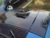 :poo:ty mustang 004.webp