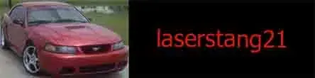 laserstang21 copy.webp