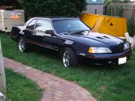 T-bird.webp