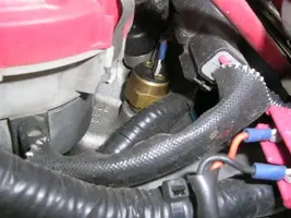 DSCN2878.webp