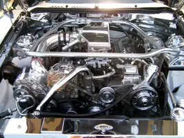 pic.webp