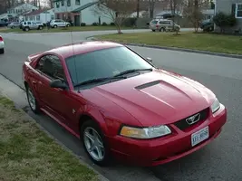 mustang 2.webp
