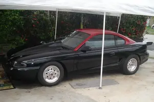 stang.webp