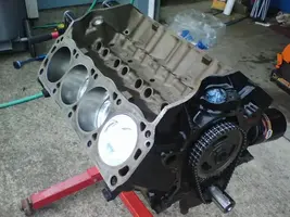 1001081436.webp