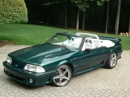 Mustang pics 024.webp