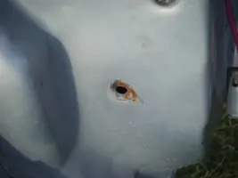 DSCF8745.webp