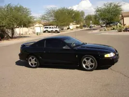 cobra_13.webp