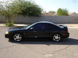 cobra_06.webp