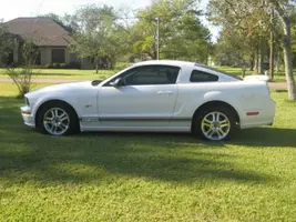 Picture 006.webp