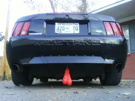 ass end.webp
