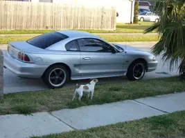 98gt.webp