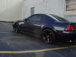 black saleens.webp