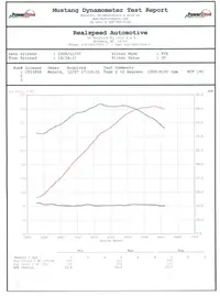 DYNO.webp