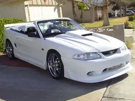 Cobra R.webp