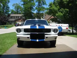 mustang1.webp