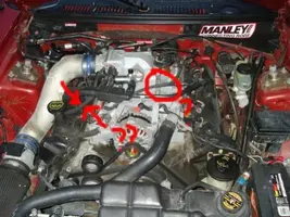 Engine quest.webp