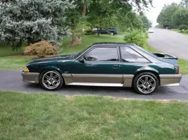 Mustang002.webp