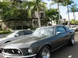 mus3.webp