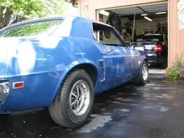 mustang 3.webp