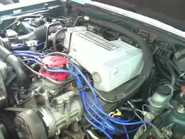 IMG000042.webp IMG000042.webp