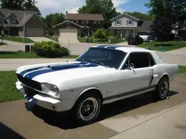 mustang6.webp
