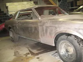 mustang2.webp
