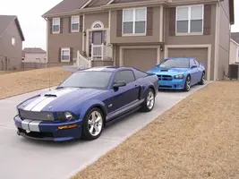 New Mustang 059.webp