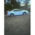 stang2.webp