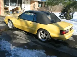 yellowvert 050.webp