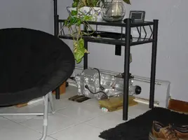 DSC00263.webp