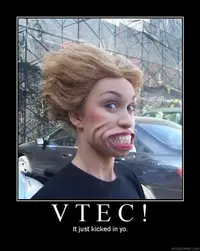 vtec.webp