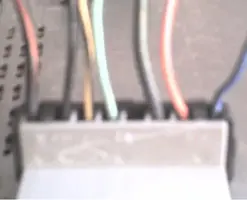 Radio Plug.webp