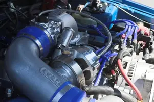 Stang_Guemes_CRW_0657-01.webp
