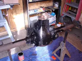 DSC00336.webp