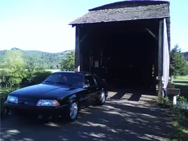 mustang.webp