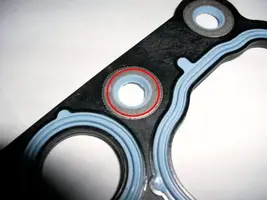 2003 GT Mustang 4.6 oil filter adaptor gasket close up with red circle.webp